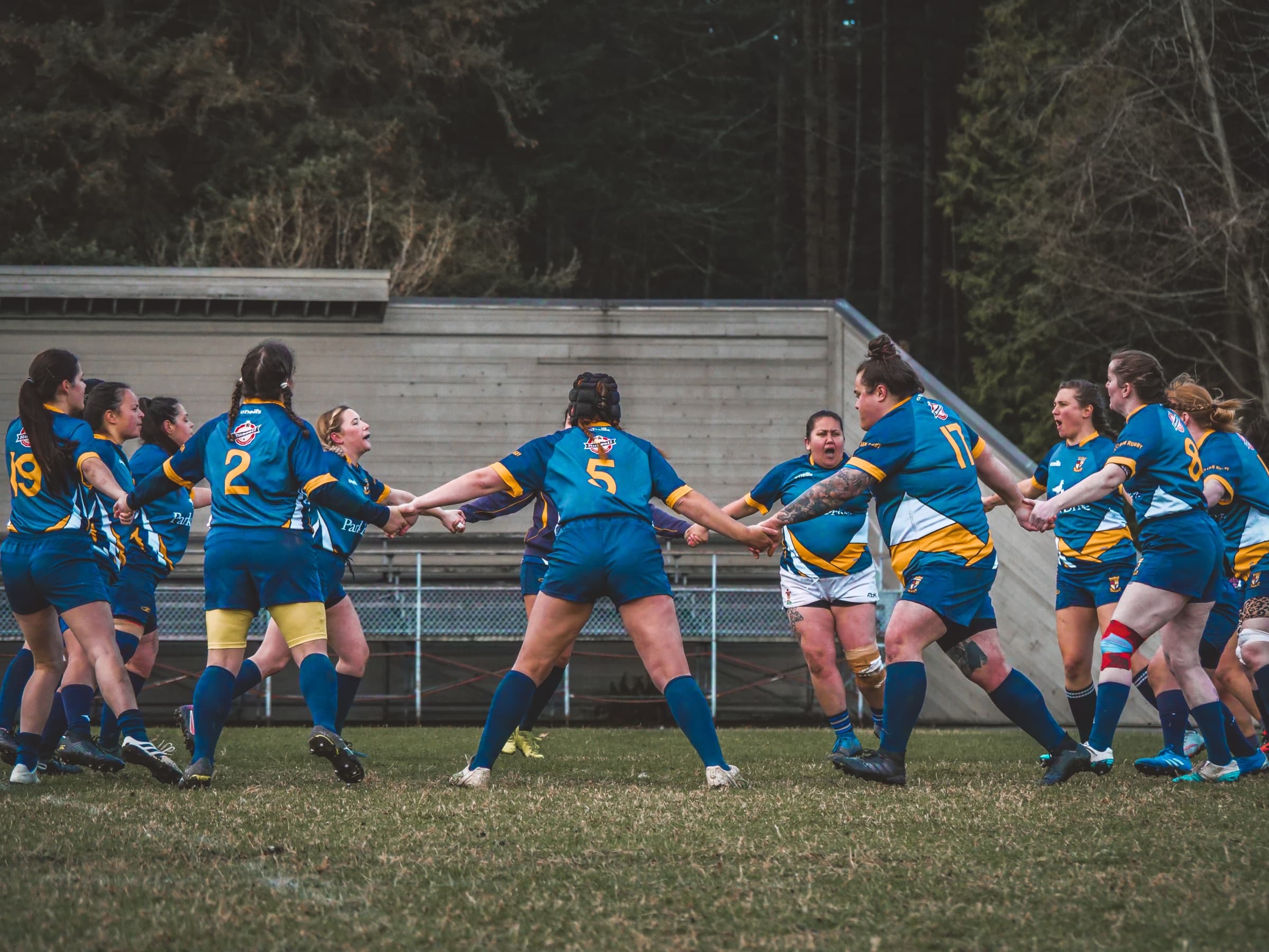 Trout Lake Rugby Field