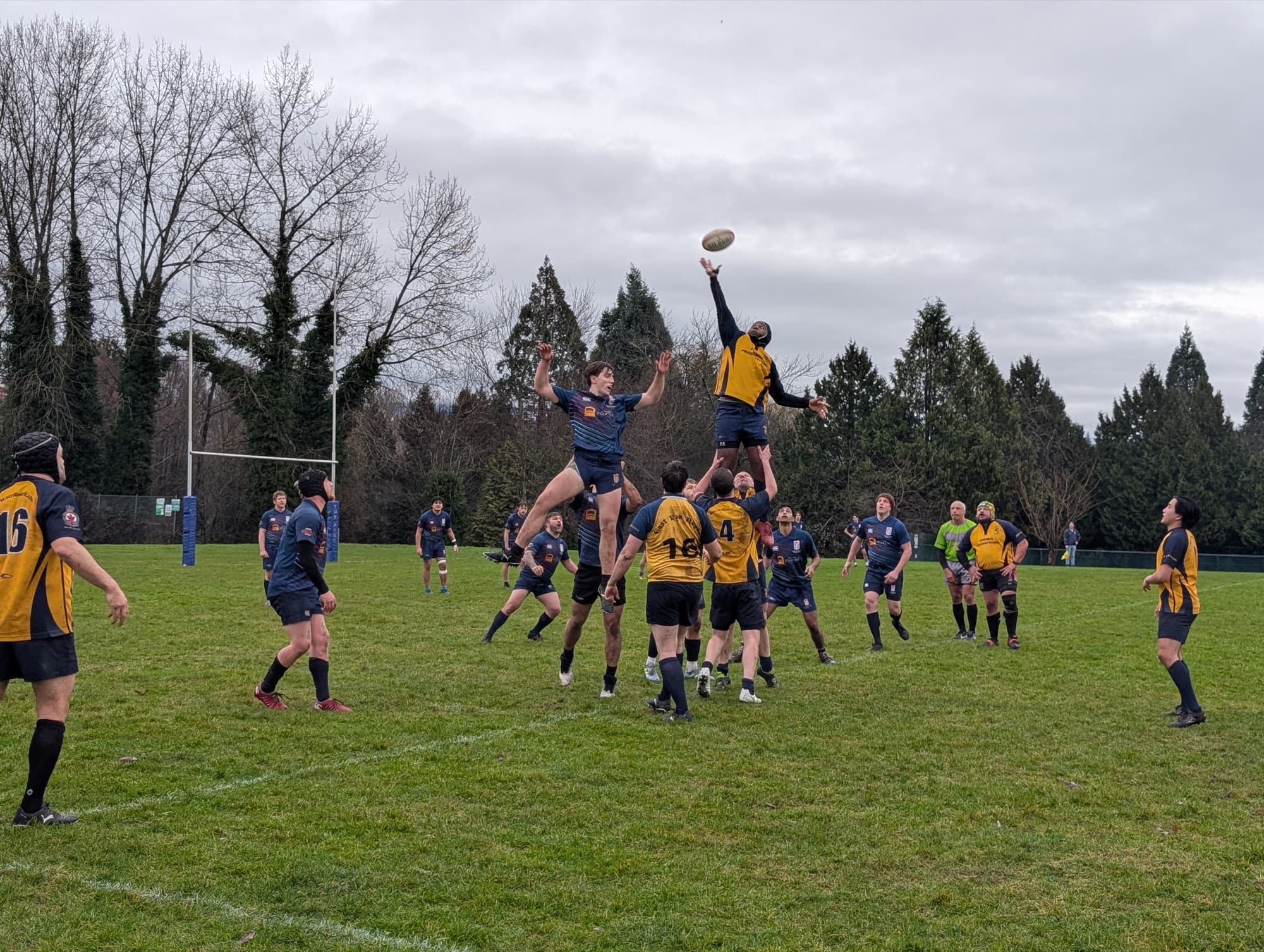 Lineout ball, Scribes throw.